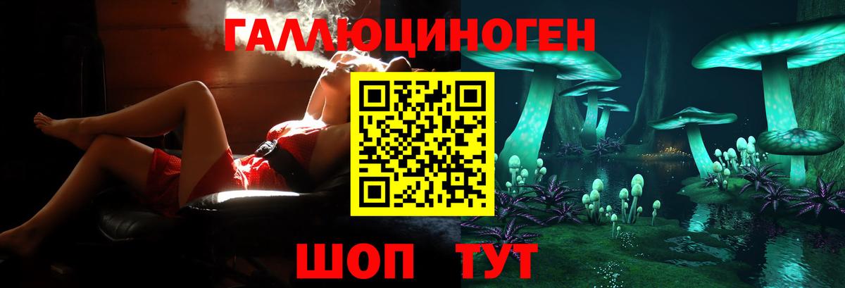 Псилоцибиновые грибы MAGIC MUSHROOMS Калининград