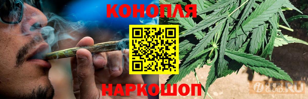 Бошки Шишки VHQ Калининград